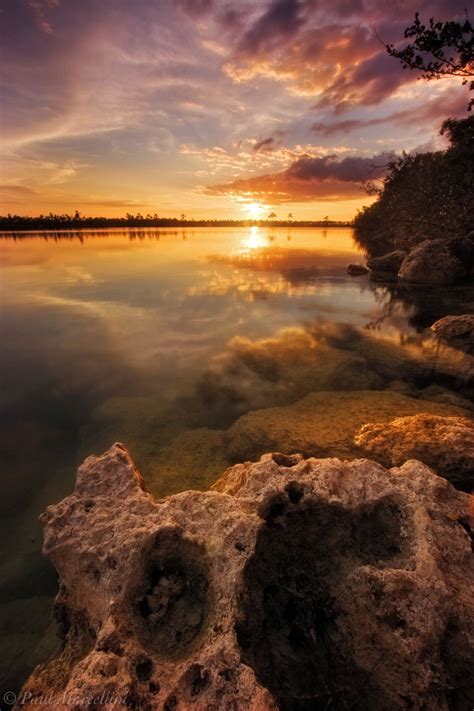 Stars At Sunset Pine Glades Lake Everglades National