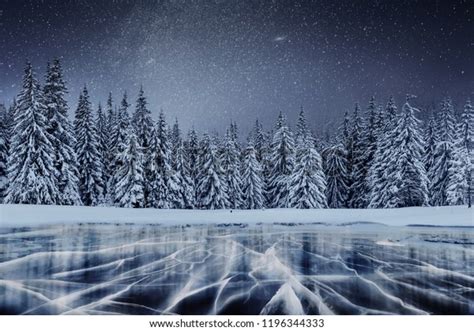 Dairy Star Trek Above Winter Woods Stock Photo Edit Now 1196344333