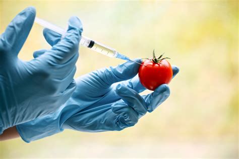 Top 10 Most Common Genetically Modified Foods Conscious Cooking