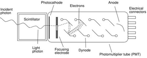 (b) feynman diagram of β decay. Atomic Absorption Spectrophotometer Instrument