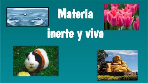 Biologia Diferencias Materia Viva E Inerte