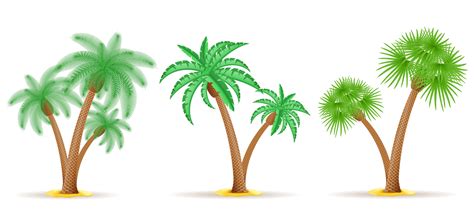 Palm Tree Vector Illustration 490750 Vector Art At Vecteezy