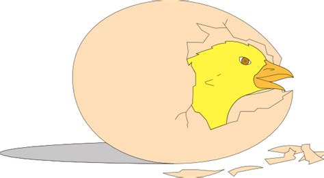 chick hatching clip art at vector clip art online royalty free and public domain