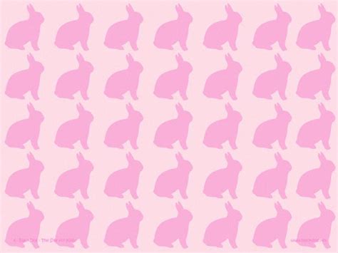 46 Pink Bunny Wallpaper On Wallpapersafari