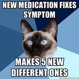 Nausea Medication For Cats Pictures