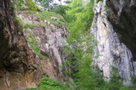 Parcul Național Domogled Valea Cernei Informatii Romania