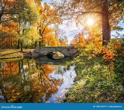 Autumn Landscape With A Bridge Stock Image Image Of Stream Bridge