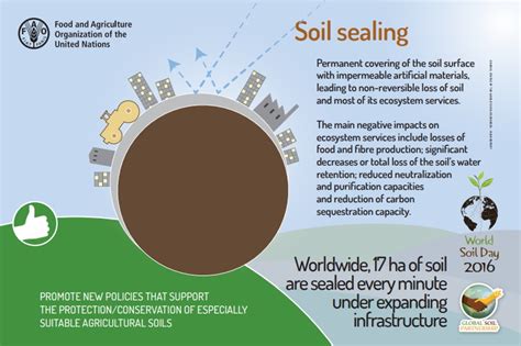 Soil Sealing Il Problema Corre Veloce E Danneggia Noi E La Fertilità