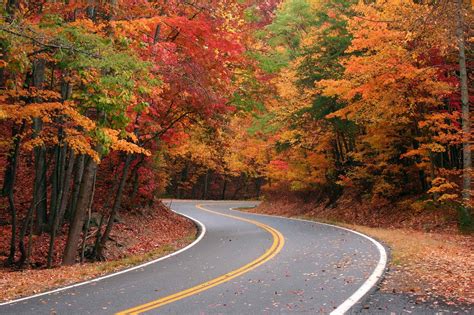 Fall Colors In Georgia Over 15 Must See Spots To Enjoy