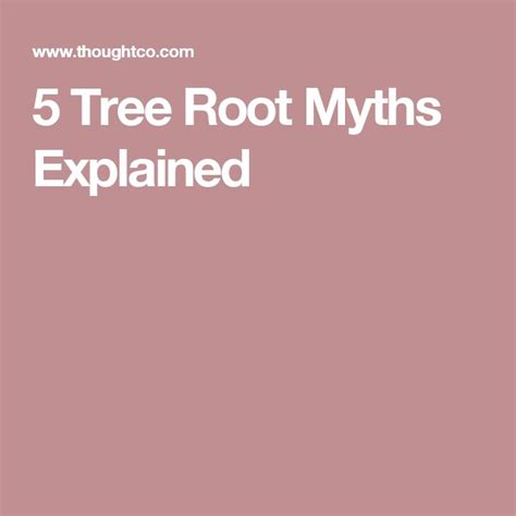 Tree Root Myths Explained Tree Roots Root Tree