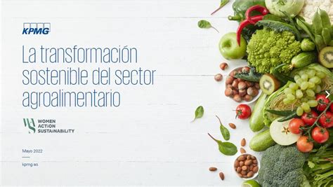 Informe Sobre La Transformaci N Sostenible Del Sector Agroalimentario