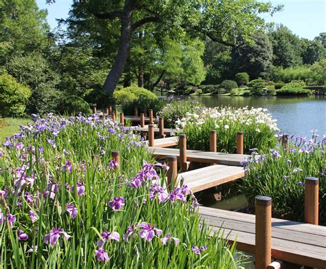 Missouri Botanical Garden Amanda Markel