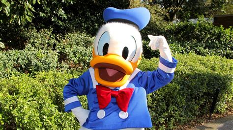 We did not find results for: Donald Duck mascot - Cartoons character wallpaper