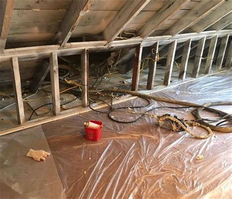 Check spelling or type a new query. Mold in Attic and Behind Bedroom Walls | SERVPRO of Derry ...