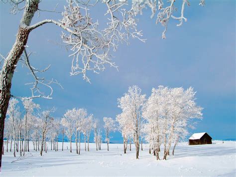 Free Winter Nature Wallpaper Wallpapersafari