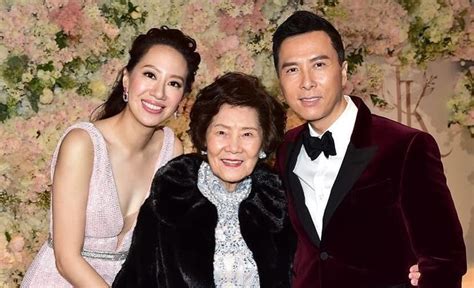 Alongside acting, donnie yen developed another sources of net worth. Donnie Yen Net Worth 2020, Age And Height, Wife, Upcoming ...