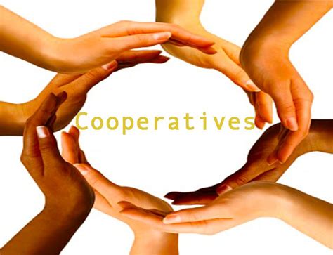 Co Operatives Définition What Is