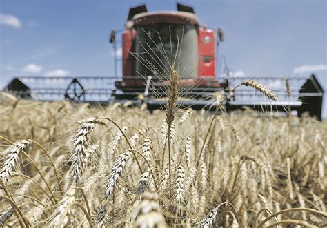 Ukraine Becomes Major Grain Player The Western Producer