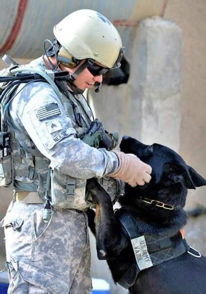Iraq Army K9 And Soldier Thank You For Your Service Army Dogs K9