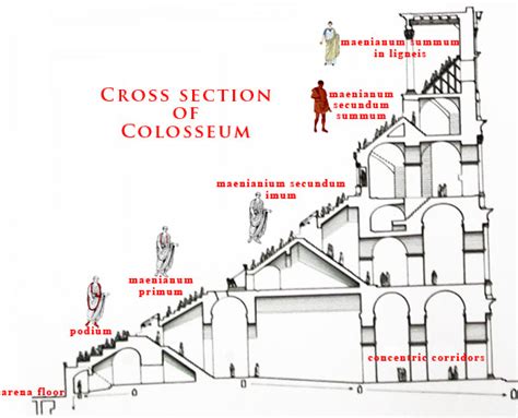 Colosseum Cavea Microcosm Of Roman Social Structure
