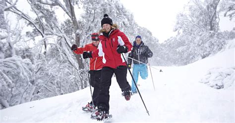 Mt Buller Snow Trip From Melbourne Klook