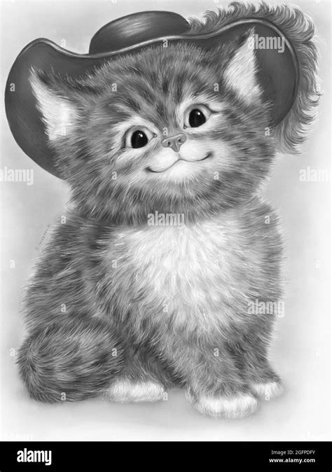 Illustrations Animals Kitten Cat Stock Photo Alamy