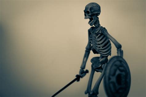 Skeleton Army Revoltech By Bradipodt On Deviantart