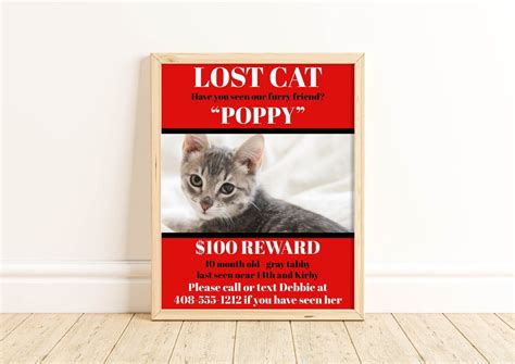 Lost Cat Flyer Template Editable Missing Cat 85x11 Sign Printable