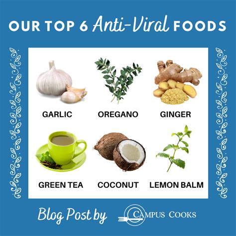It has been available since 1982 in a topical form (as an ointment) and sold since 1985 in pill form. Top Foods to Boost Your Immune System - Campus Cooks