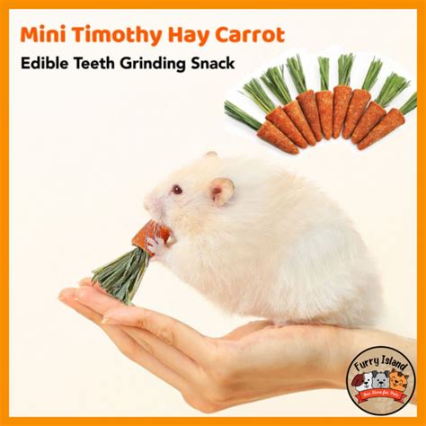 Natural Mini Carrot Timothy Hay Hamster Snacks Edible Dental Chew Molar
