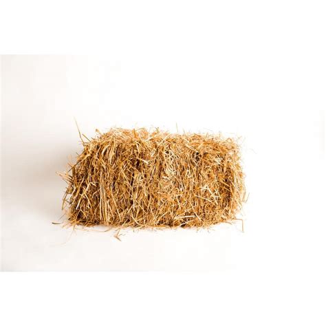 Baled Wheat Straw 875333 The Home Depot