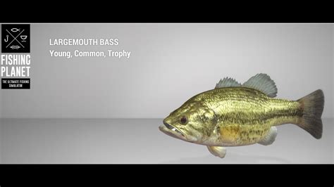 Fishing Planet Mudwater River Trophy Largemouth Bass Spin Youtube