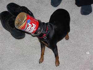 Dogs Eating Peanut Butter Photos