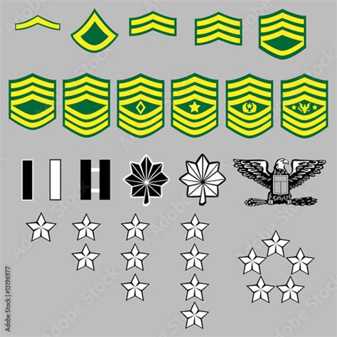 Us Army Rank Insignia For Officers And Enlisted In Vector Stock Vector