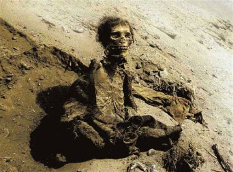 Las momias chinchorro se encuentran en la región de tarapacá de chile, en el museo arqueológico san miguel de azapa, unidad que se encuentra a cargo de la universidad de tarapacá. Cultura Chinchorro ~ HISTORIA DEL PERÚ