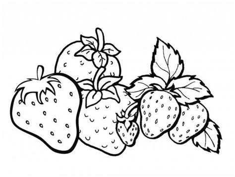 Gambar Lukisan Buah Buahan Hitam Putih : 20 Gambar Buah Buahan Sketsa