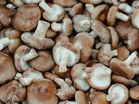 Man Suffers Unusual Rash After Eating Undercooked Shiitake Mushroom