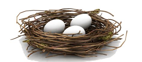 Collection Of Cute Bird Nest Png Pluspng