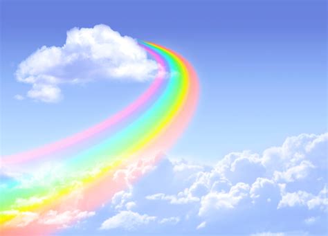 Rainbow Bridge Remembrance Day 28th August Days Of The Year