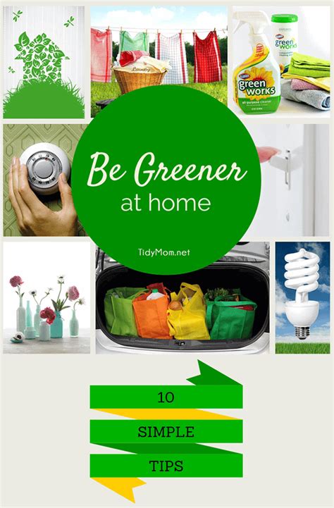 10 Simple Eco Friendly Tips To Green Your Home