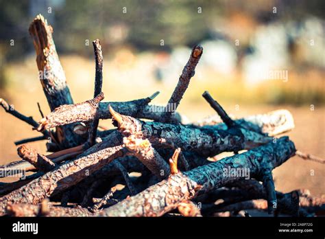 Pile Of Twigs And Branches High Resolution Stock Photography And Images