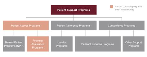 Patient Support Programs What Are They And What Do They Offer