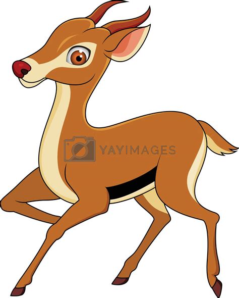 Gazelle Cartoon By Matamu Vectors And Illustrations With Unlimited