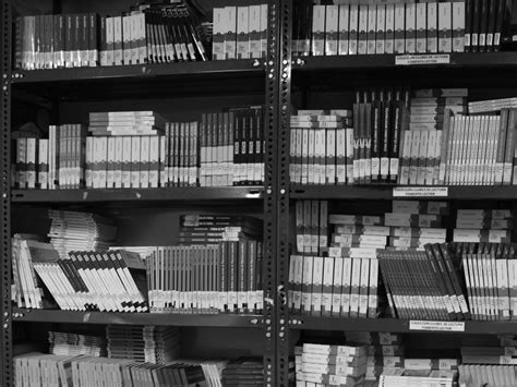 Definición de terminología actualizado • « los científicos han adoptado una terminología normalizada para describir la posición del cuerpo. Terminología - Cultura, Patrimonio y Género