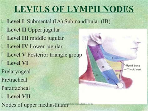 Lymphadenopathy Dental Implant Courses By Indian Dental Academy