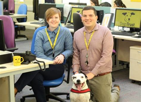 Canine Contact Centre Reaches 1 Millionth Call On The Dog And Bone