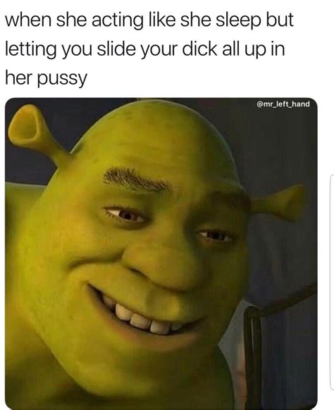 Get Shrekt Shrek Funny Picture Jokes Shrek Memes Vrogue Co