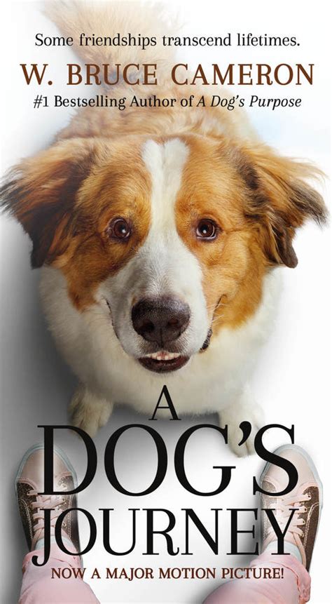 The way the characters act is so emotional because the dog named bailey has a new. A Dog's Journey Movie Tie-In | W. Bruce Cameron | Macmillan