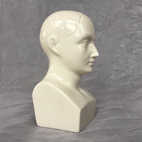 Porcelain Bust Sculpture Medical Model Chairish