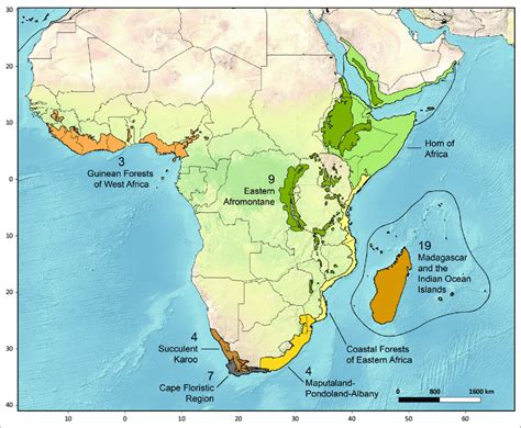 The Number Of Lost Or Threatened Bryophytes In Africa And The East